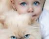 Дете и коте с сини очи