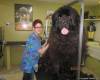 Огромно куче